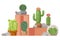 Cactus houseplant, vector illustration. Collection of decorative cacti in flowerpots. Exotic plants shop presentation