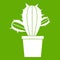 Cactus houseplants in pot icon green