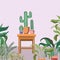 Cactus houseplants in wooden chair garden scene