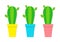 Cactus icon in flower pot icon set. Desert prikly thorny spiny plant. Minimal flat design. Growing concept. Bright green houseplan