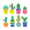 Cactus icons in a flat styled. Home plants cactus in pots and with flowers. A variety of decorative cactus with prickles and witho