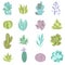 Cactus Icons Set