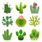 Cactus icons vector set
