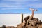 Cactus Island Incahuasi in Uyuni Salt Flats