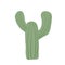 Cactus isolation on white background. Mexican cacti and aloe. Exotic plant Vector flat illustration