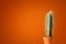 Cactus with long needles in a small pot against the background of an orange terracotta wall