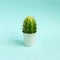 Cactus made from cucumber on pastel light blue background