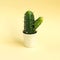 Cactus made from cucumber on pastel yellow background