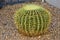 Cactus, Maricopa County, Rio Verde, Arizona