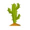 Cactus. Mexican green plant with spines. Element of the desert and southern landscape
