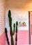 Cactus Minimal design on pink wall