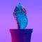 Cactus minimal synthwave fashion vibes. Creative and plant concept art