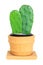 Cactus ( Opuntia ) on isolated background ( Cereus hexagonus Mil