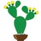 Cactus, opuntia, object isolated on white background.