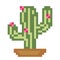 Cactus patern. Pixel cactus image