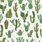 Cactus pattern. Seamless cactus houseplant pattern, succulent plants wrapping print, cute desert cactus doodle vector