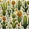Cactus pattern on white background