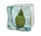 Cactus pear frozen in ice cube, 3D rendering