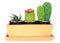 Cactus ( Pereskia , Echinocactus , Opuntia )
