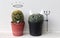 Cactus photo with hand drawn black line face illustration