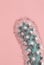 Cactus on pink background. Creative design. Minimal art gallery