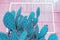 cactus on pink background trending neon colors with blank neon frame with space for text