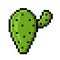 Cactus plant pixel art on white background