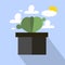 Cactus plant potted on white clouds orange sun