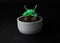 Cactus plant in a round cement pot, potted green cactus with white rocks, living room decor concept studio lighting photograph.