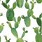 Cactus Plant Seamless Pattern. Exotic Tropical Summer Botanical Background