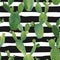 Cactus Plant Seamless Pattern. Exotic Tropical Summer Botanical Background