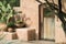 Cactus and Plant Still Life in Front of Adobe Wall