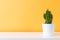 Cactus plant in white pot. Potted cactus house plant on white shelf against pastel colored wall.