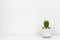 Cactus plant in a white pot on shelf against a white wall