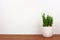 Cactus plant in a white pot on wood shelf against a white wall