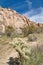 Cactus and plants against mountain of rocks at Joshua Tree National Park