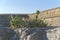 Cactus plants over rocks, ancient fortress wall behind.