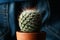 Cactus in pot against person in jeans. Hemorrhoids