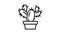 Cactus pot icon animation