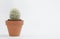 Cactus pot isolated on a white background and brown clay pot, view with copy space for input the text. Designer workspace on the o