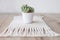 Cactus in pot on natural cotton twine mat rug on rustic wooden background. Eco style with green plant. Modern macrame handmade.