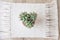 Cactus in pot on natural cotton twine mat rug on rustic wooden background. Eco style with green plant. Modern macrame handmade.