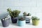 Cactus pots in different colors on a white table and ceramic blue wall in background.