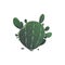 Cactus prickly plant isolated agave americana icon