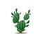 Cactus prickly plant isolated agave americana icon