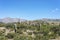 Cactus Quebrada de Humahuaca in Jujuy, Argentina.