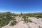 Cactus Quebrada de Humahuaca in Jujuy, Argentina.