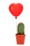 Cactus with read heart balloon