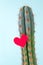 Cactus and red heart on it, the concept of contradictory feelings, cruel love, unapproachable heart. Minimalism, the ultimate.