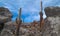 Cactus and rocks Bolivia Salt Flats
